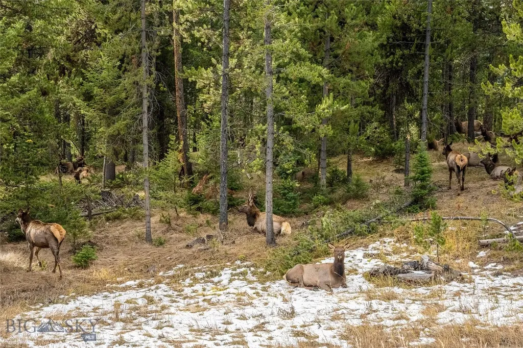 Tbd Crown Butte, Lot 88 Big Sky MT 59716