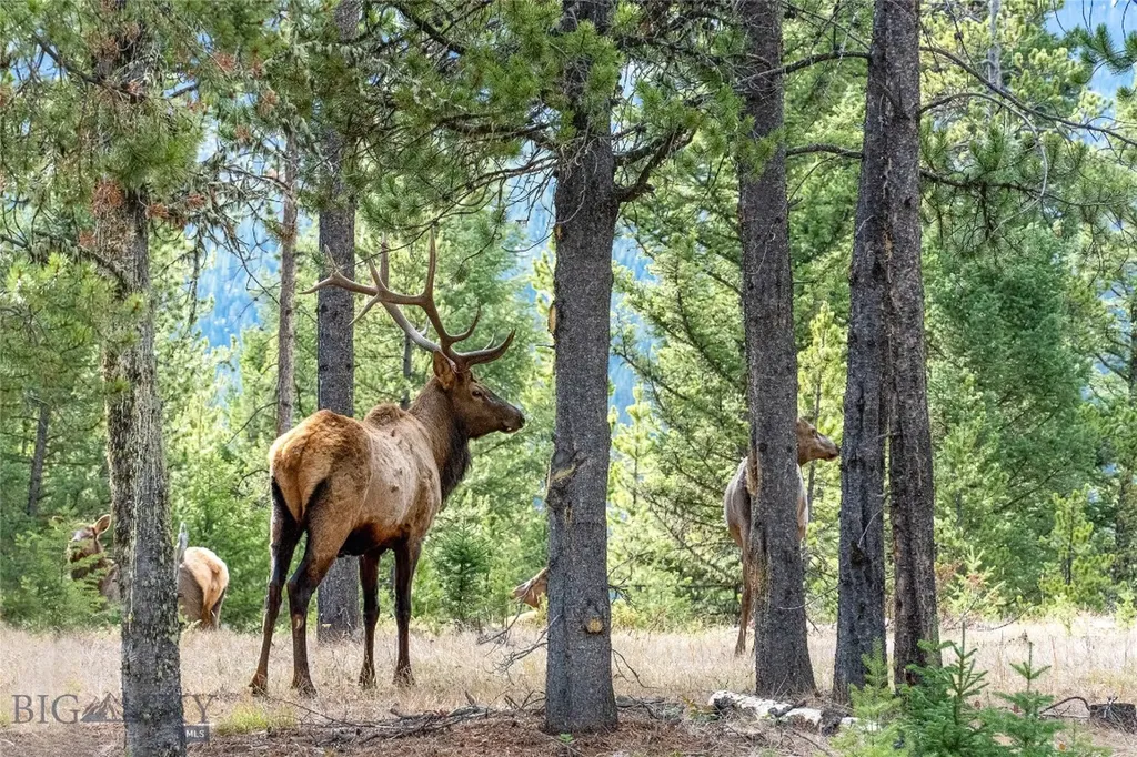 Tbd Crown Butte, Lot 88 Big Sky MT 59716