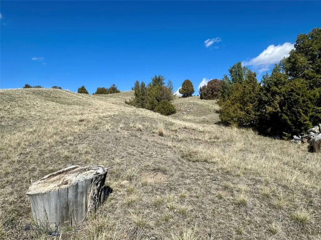 12193 Old Coach Road Three Forks MT 59752