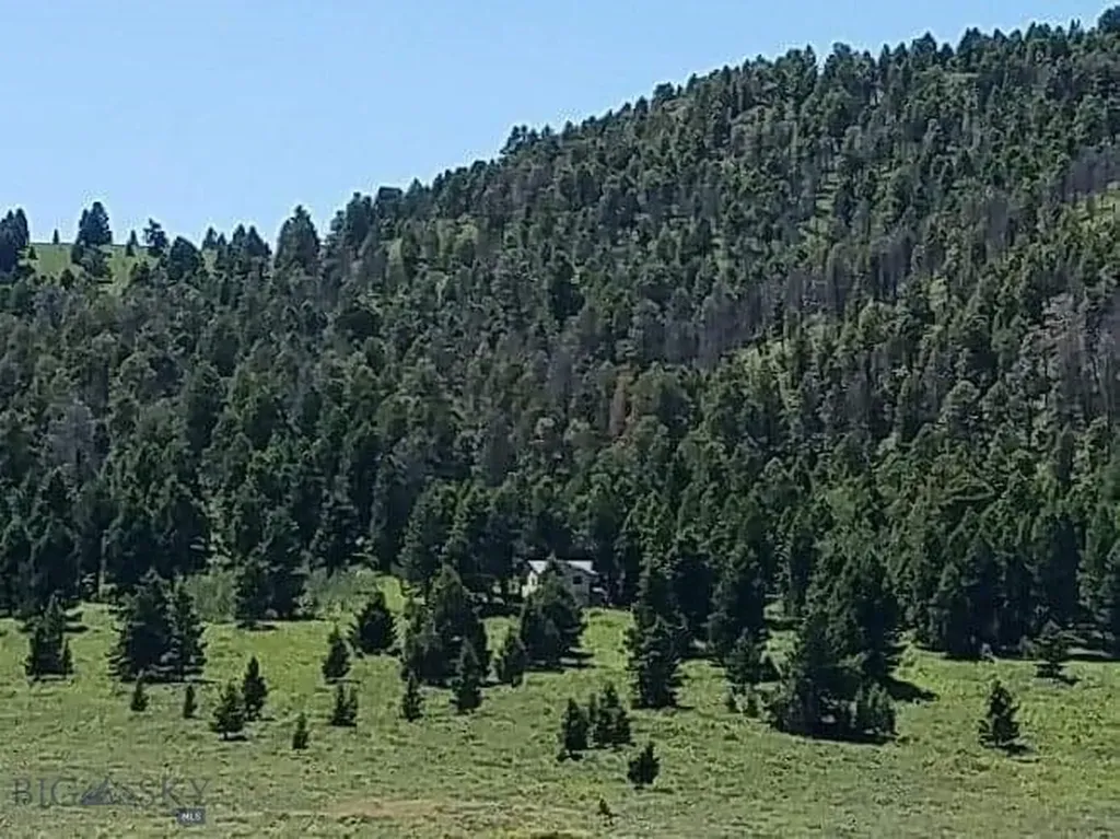 Parcel 23 Buffalo Lance Ranch Cameron MT 59720