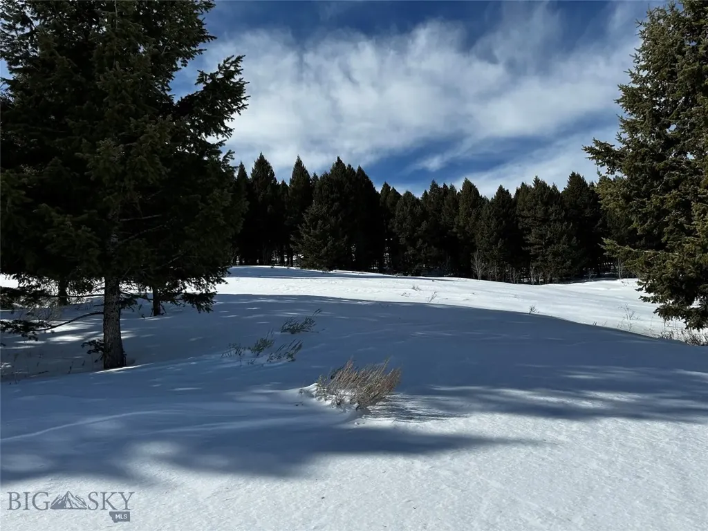 Parcel 23 Buffalo Lance Ranch Cameron MT 59720