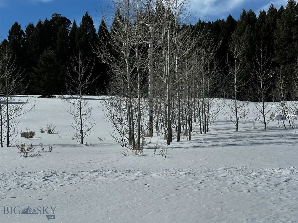 Parcel 23 Buffalo Lance Ranch Cameron MT 59720