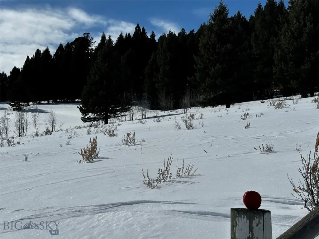Parcel 23 Buffalo Lance Ranch Cameron MT 59720