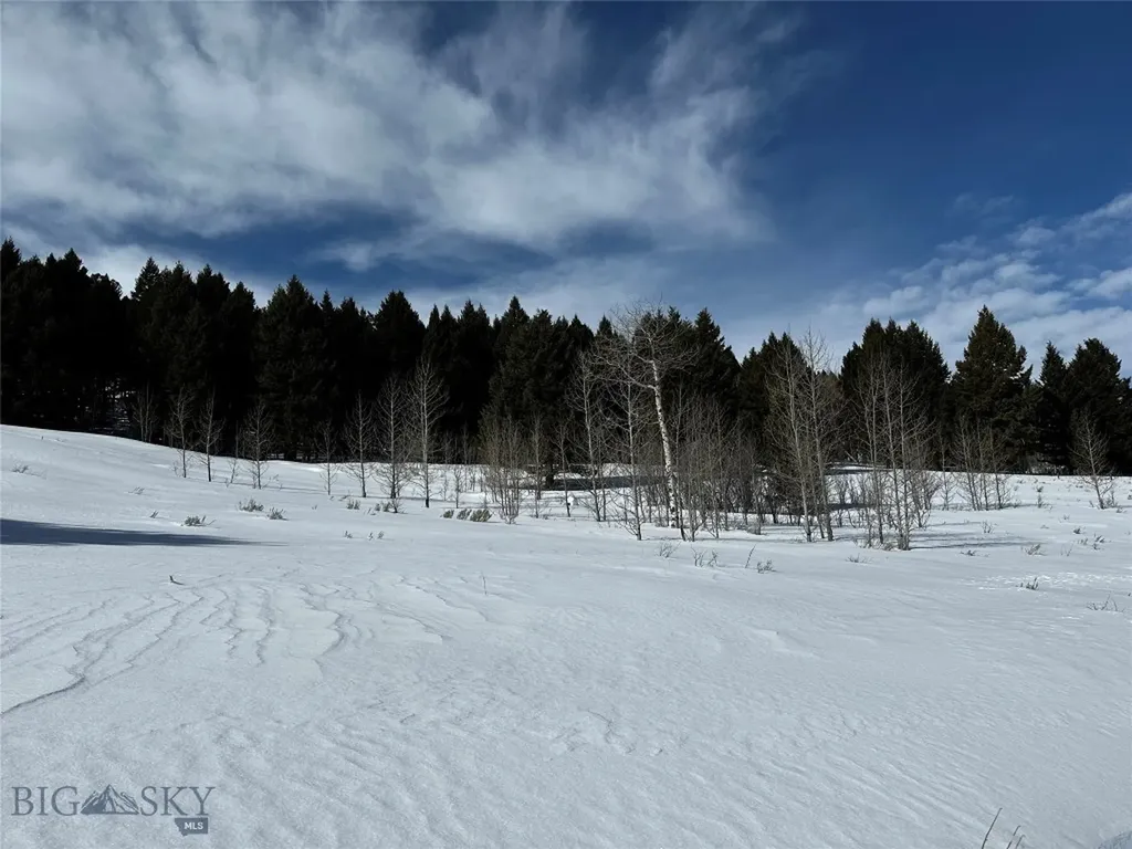Parcel 23 Buffalo Lance Ranch Cameron MT 59720