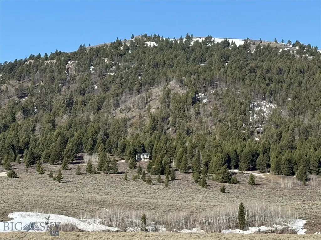 Parcel 23 Buffalo Lance Ranch Cameron MT 59720