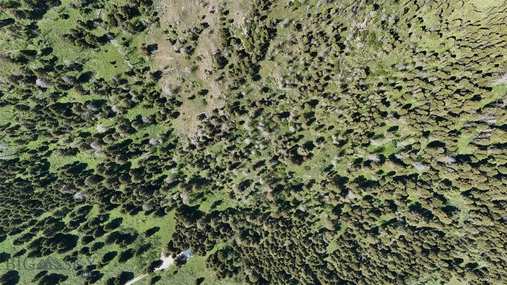 Parcel 23 Buffalo Lance Ranch Cameron MT 59720
