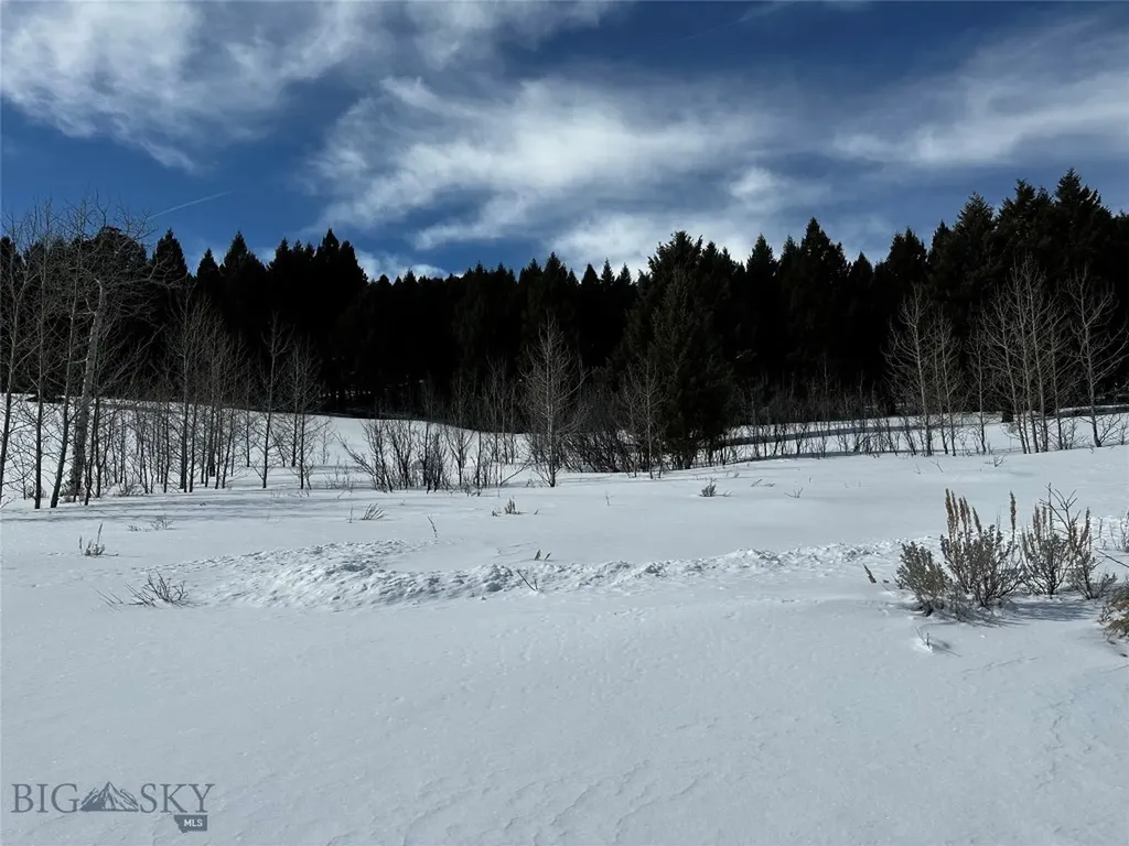 Parcel 23 Buffalo Lance Ranch Cameron MT 59720