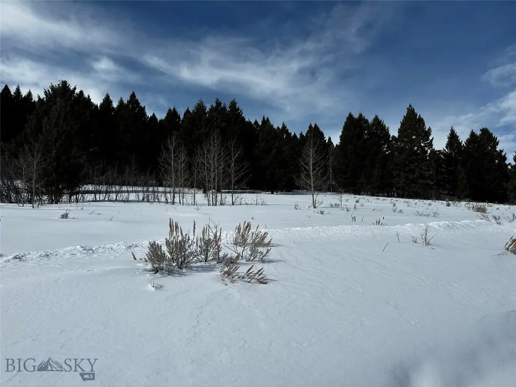 Parcel 23 Buffalo Lance Ranch Cameron MT 59720