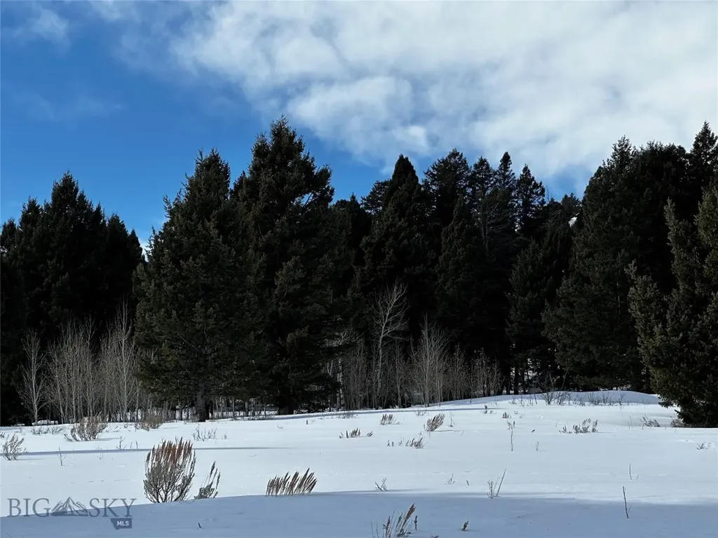 Parcel 23 Buffalo Lance Ranch Cameron MT 59720