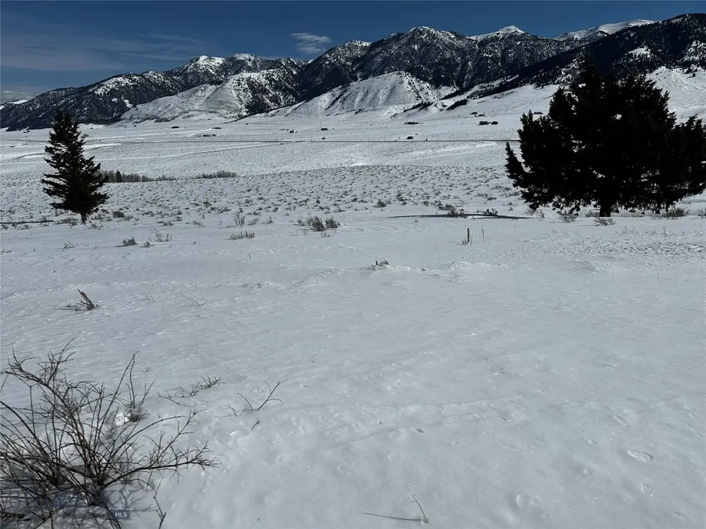 Parcel 23 Buffalo Lance Ranch Cameron MT 59720