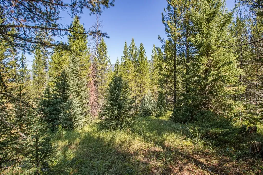 Lot 7 Skywood Road Big Sky MT 59716