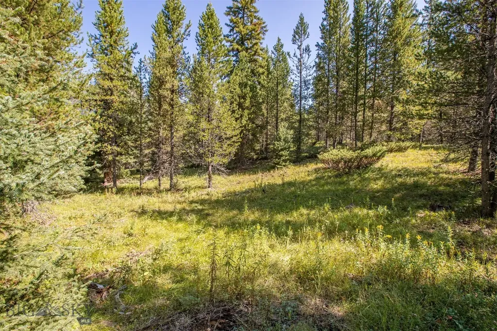 Lot 7 Skywood Road Big Sky MT 59716