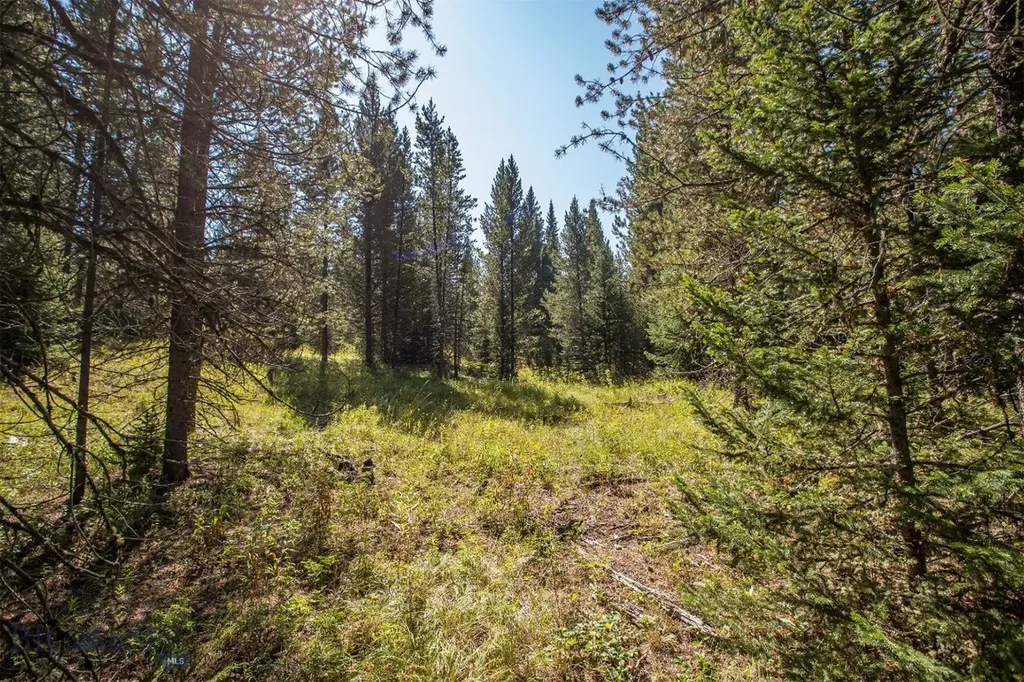 Lot 7 Skywood Road Big Sky MT 59716