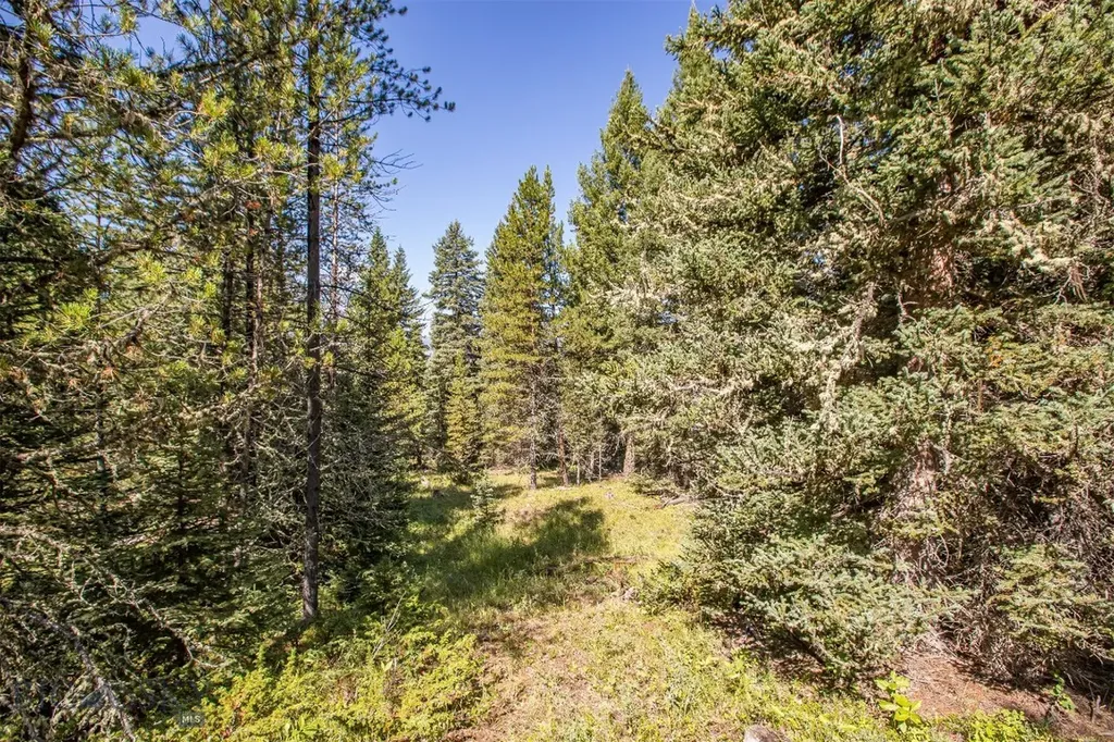 Lot 7 Skywood Road Big Sky MT 59716