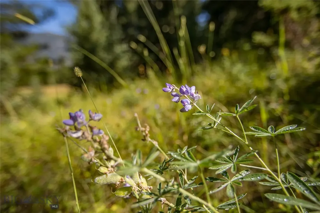 Lot 7 Skywood Road Big Sky MT 59716
