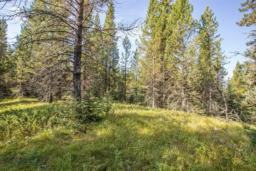 Lot 7 Skywood Road Big Sky MT 59716