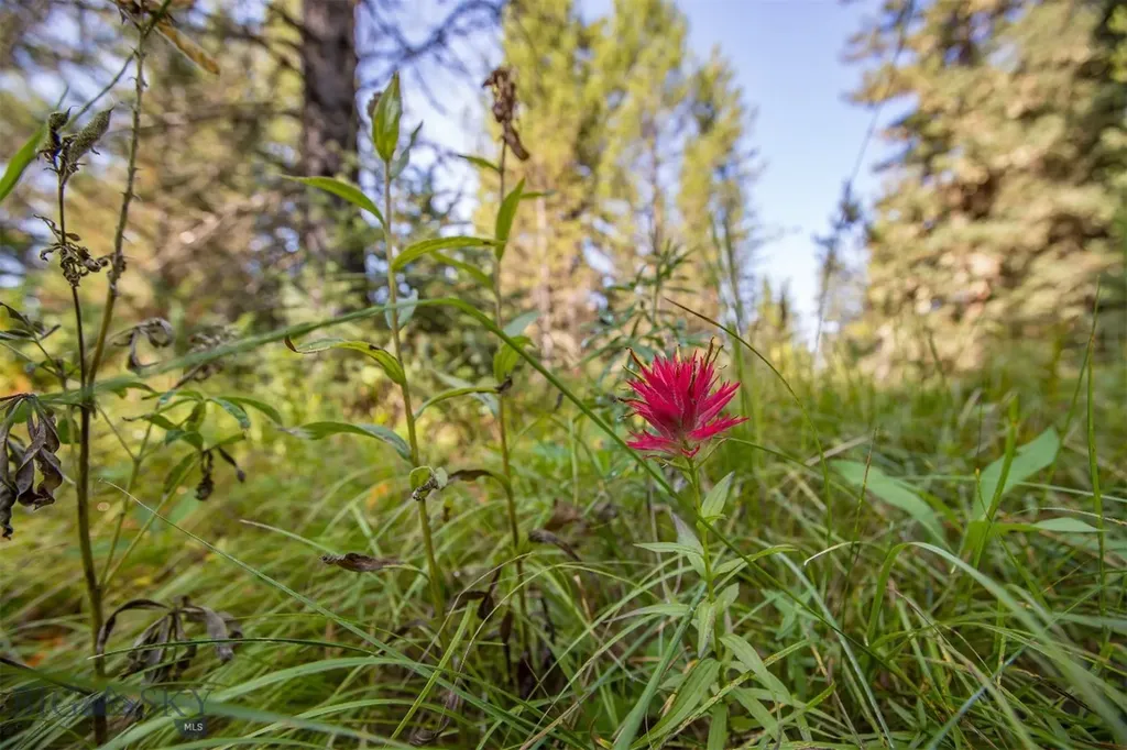 Lot 7 Skywood Road Big Sky MT 59716