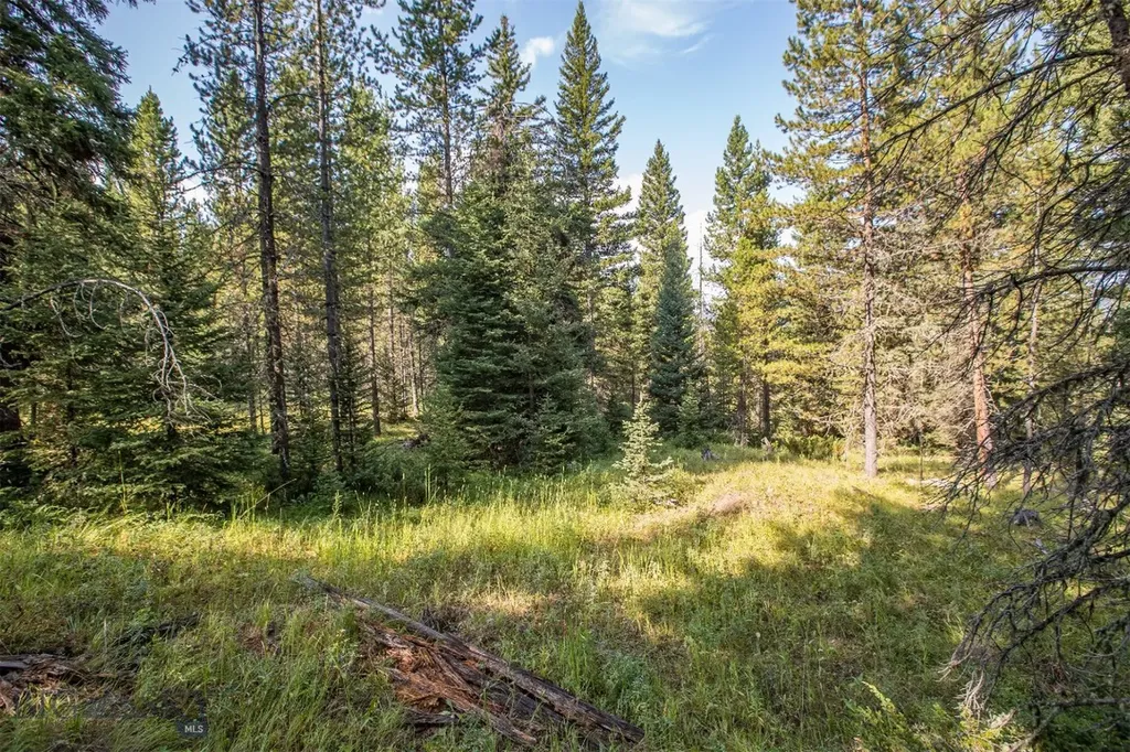 Lot 7 Skywood Road Big Sky MT 59716