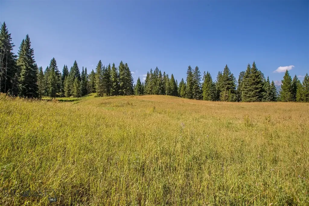 Lot 7 Skywood Road Big Sky MT 59716