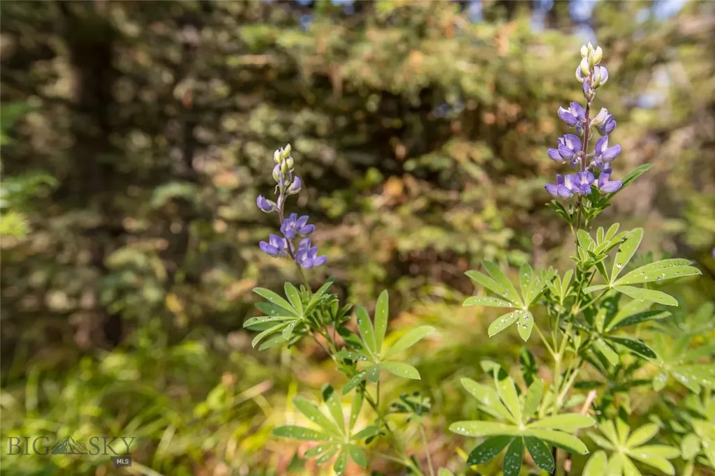 Lot 7 Skywood Road Big Sky MT 59716