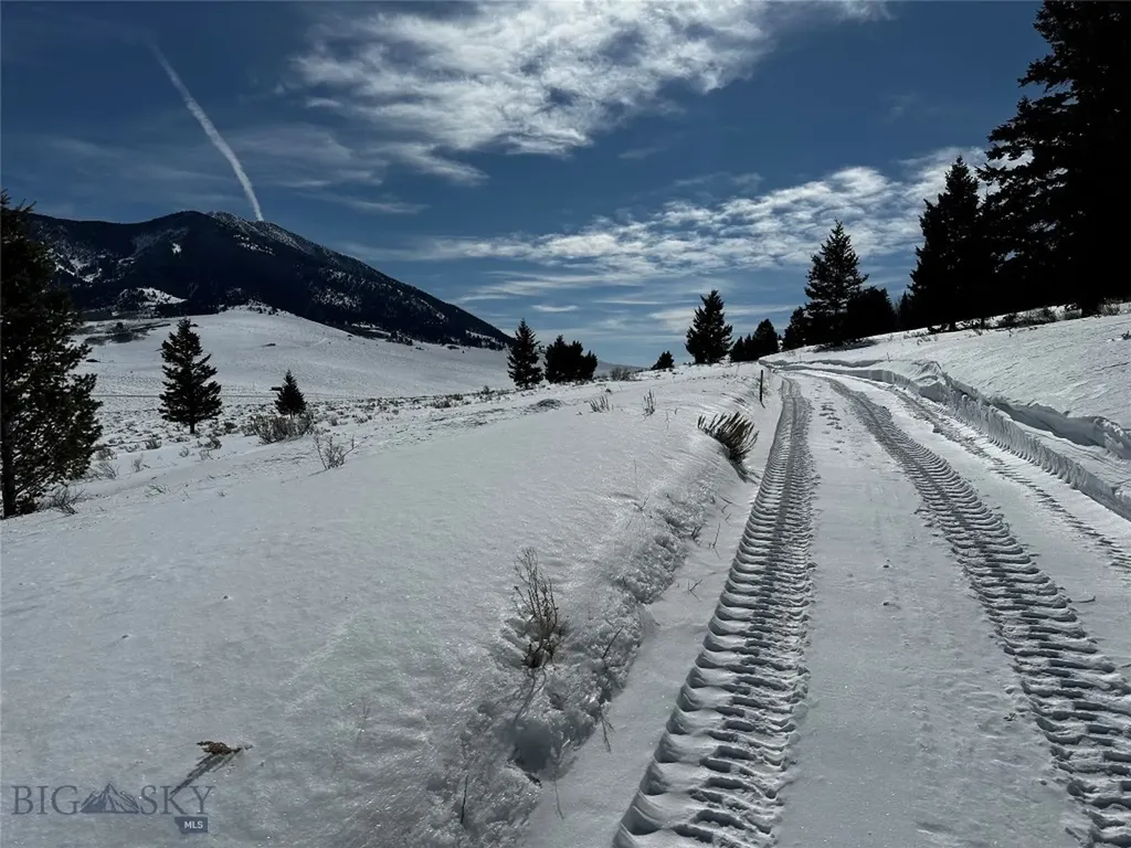 Parcel 25 Buffalo Lance Ranch Cameron MT 59720