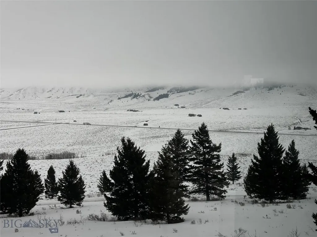 Parcel 25 Buffalo Lance Ranch Cameron MT 59720