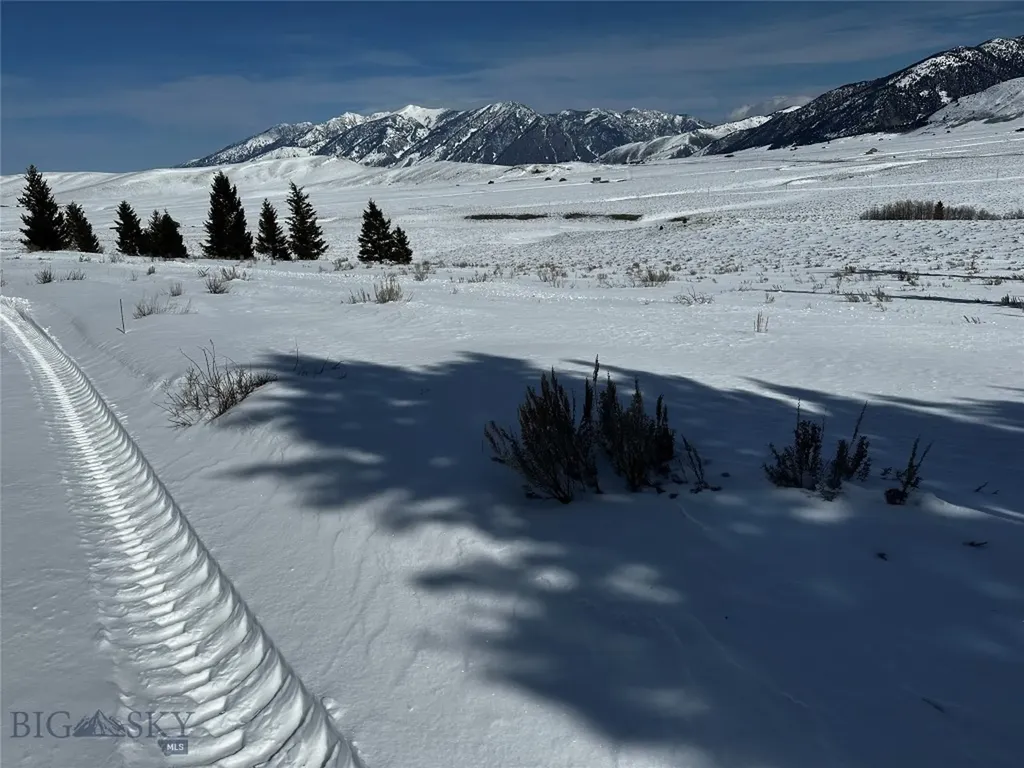 Parcel 25 Buffalo Lance Ranch Cameron MT 59720