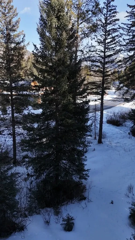 Lot 20 Two Moons Road Big Sky MT 59716