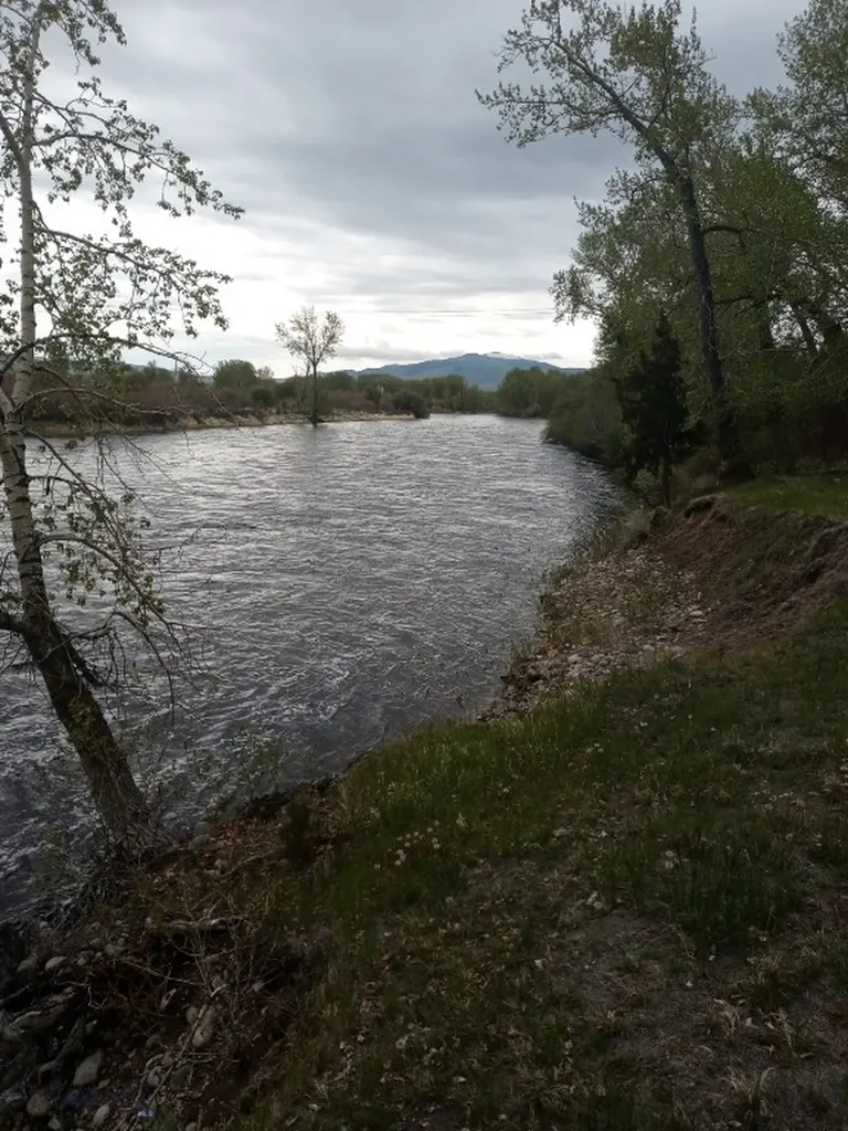 240 Ponderosa Melrose MT 59743