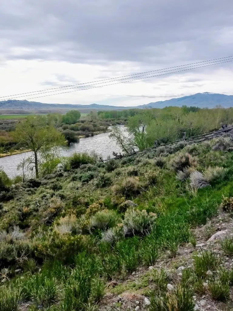 2651 Big Horn Melrose MT 59743