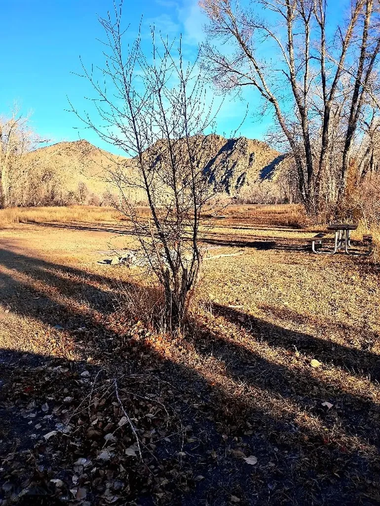 2651 Big Horn Melrose MT 59743