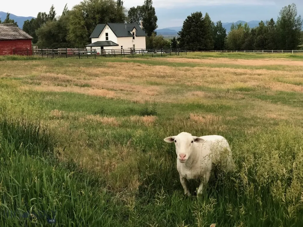477 Reese Creek Road Belgrade MT 59714