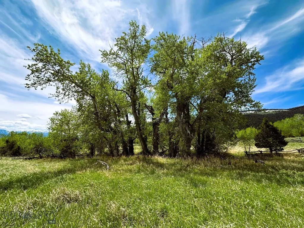 9 Willow View Way Mcallister MT 59740