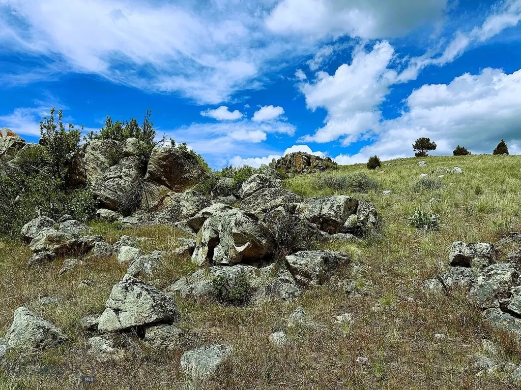9 Willow View Way Mcallister MT 59740