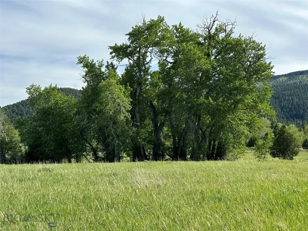 9 Willow View Way Mcallister MT 59740