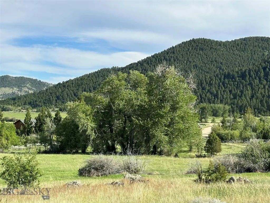 9 Willow View Way Mcallister MT 59740