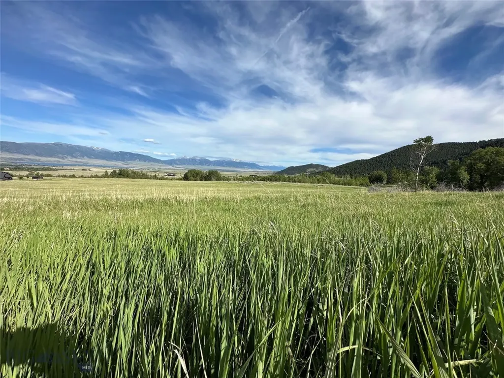 9 Willow View Way Mcallister MT 59740
