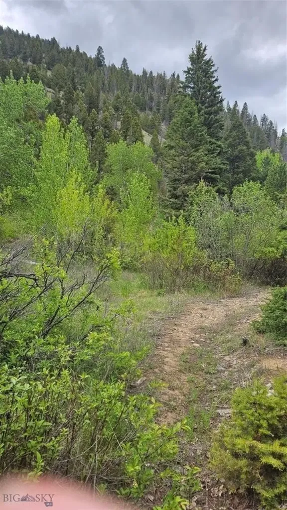 67 Basin Creek Road Boulder MT 59631