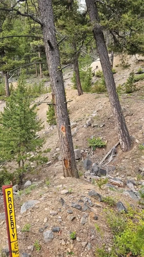 67 Basin Creek Road Boulder MT 59631