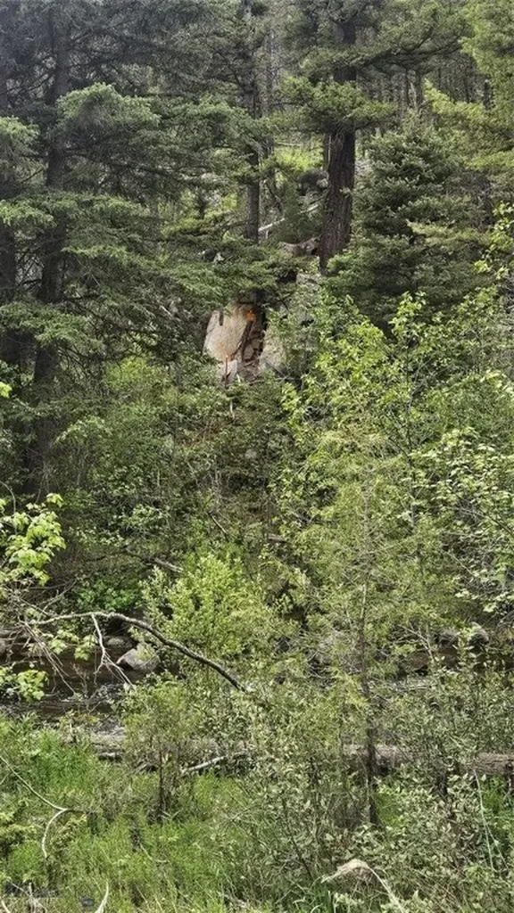 67 Basin Creek Road Boulder MT 59631