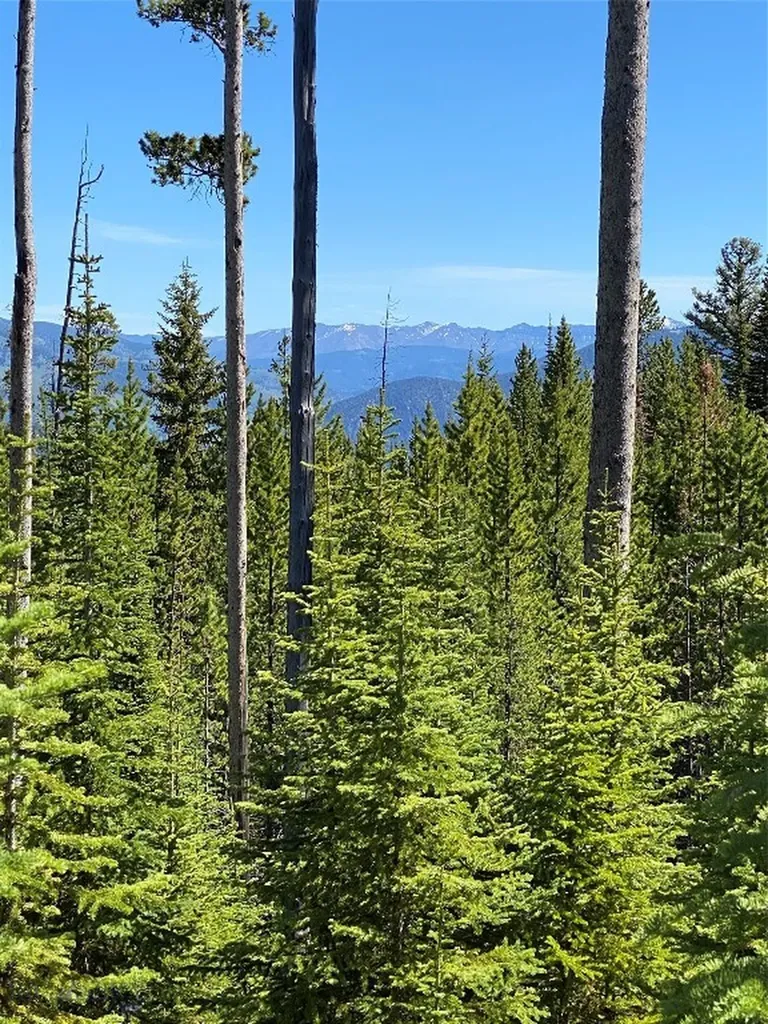 Tbd Bear Den Court Road Big Sky MT 59716
