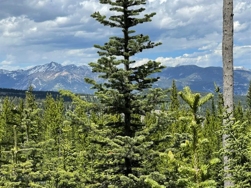 Tbd Bear Den Court Road Big Sky MT 59716