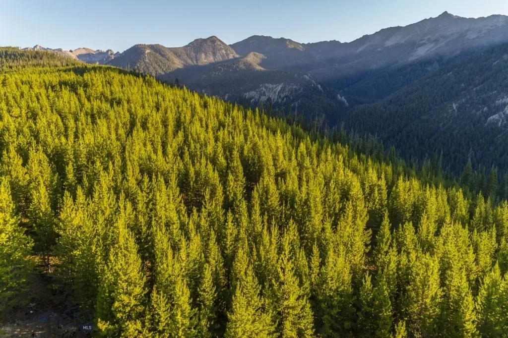 Tbd Ridge Fork Road Big Sky MT 59716