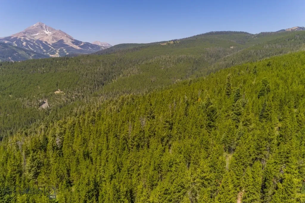 Tbd Ridge Fork Road Big Sky MT 59716