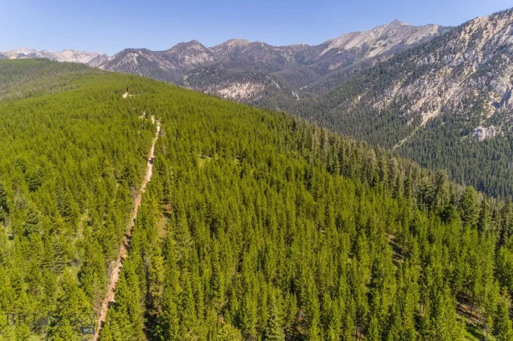 Tbd Ridge Fork Road Big Sky MT 59716