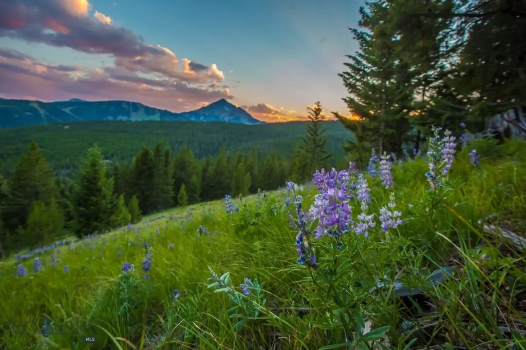 Tbd Ridge Fork Road Big Sky MT 59716