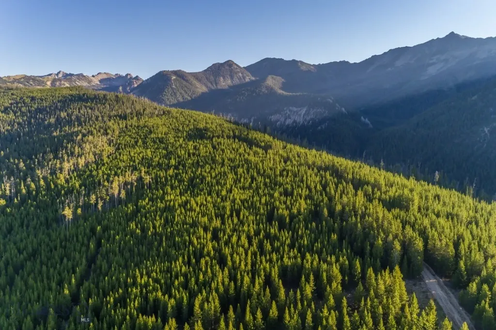 Tbd Ridge Fork Road Big Sky MT 59716
