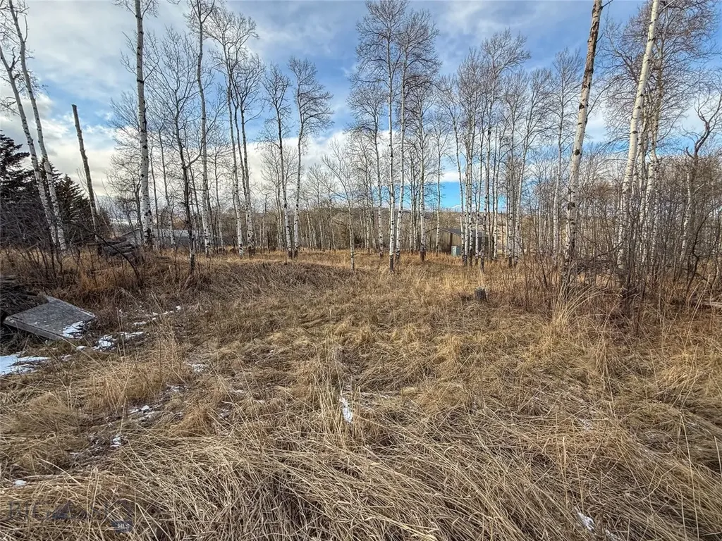 Tbd East Boulder Road Mcleod MT 59052