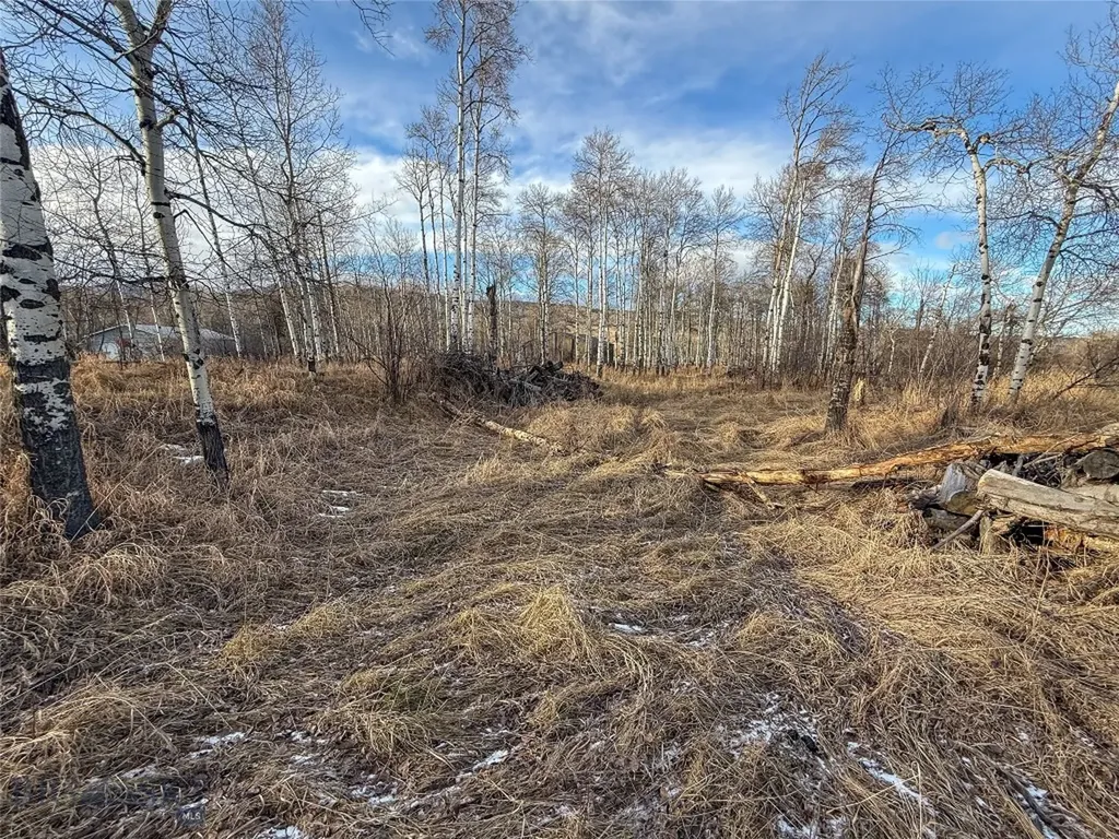 Tbd East Boulder Road Mcleod MT 59052