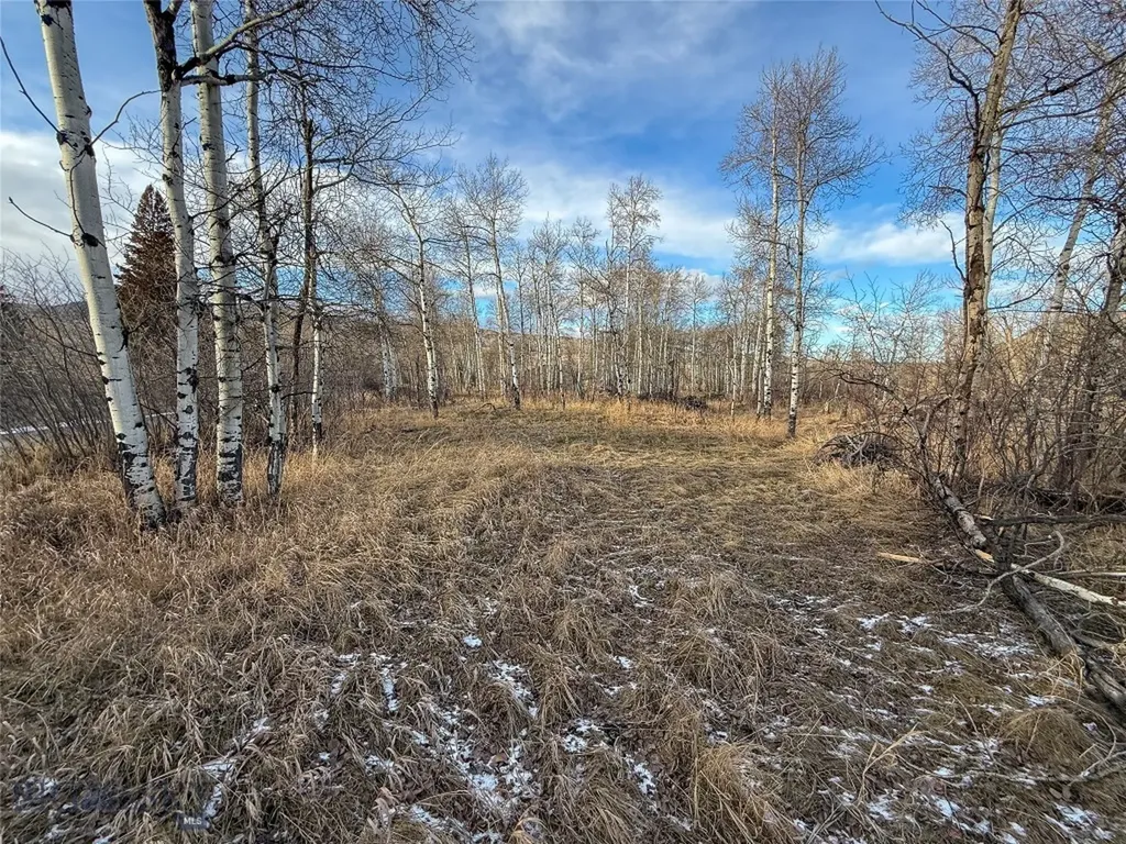 Tbd East Boulder Road Mcleod MT 59052